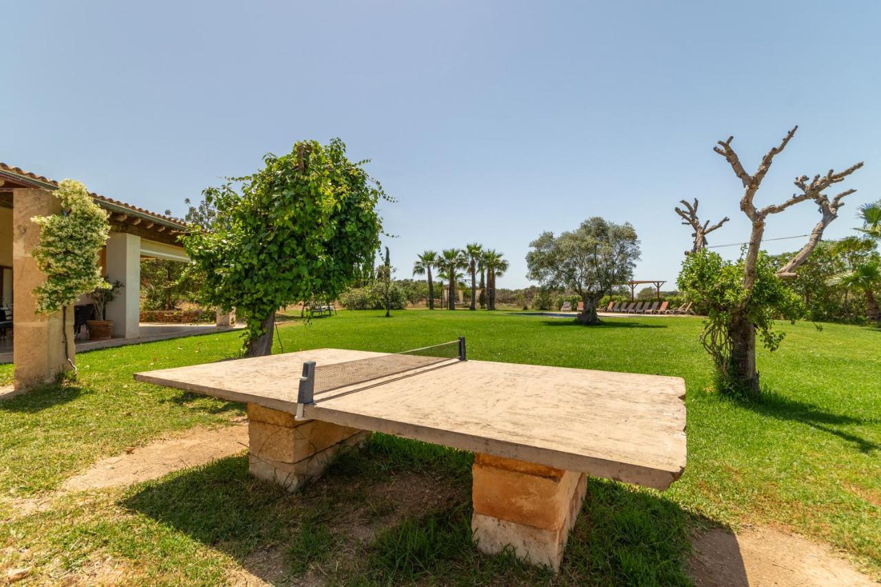 Ferienhaus Petra - 38510 Mallorca *
